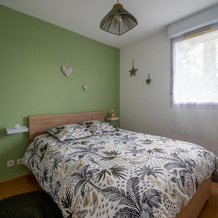 Ferienwohnung L'Airbusien - Terrasse Et Parking - Airbus A Cote Colomiers Exterior foto